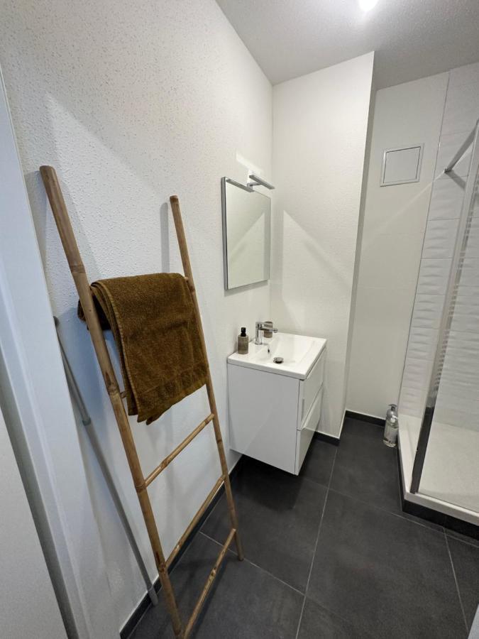 Appartement Atypique Proche Gare/ Dans L'Hyper-Centre Spacieux Pour 6P Au Coeur De Mulhouse Exterior foto